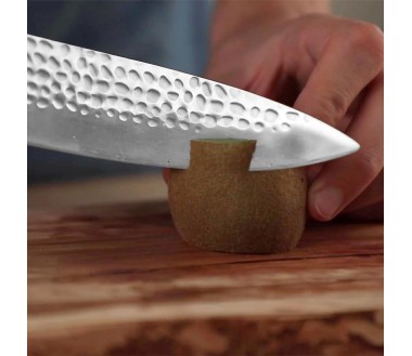 Couteau Gyuto Pakka KOTAI - Type couteau de Chef japonais - Lame 20 cm