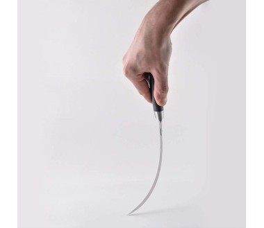 Couteau à poisson Pakka KOTAI - Type couteau japonais - Lame 20 cm
