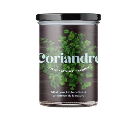 Potager de cuisine Resetea - Coriandre