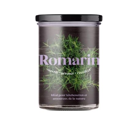 Potager de cuisine Resetea - Romarin