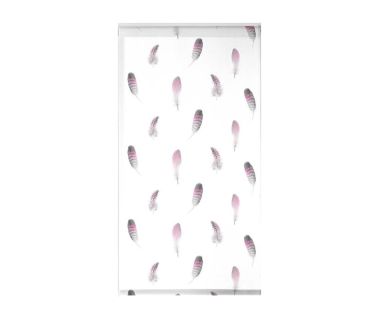 Lot de 2 stores enrouleur tamisant Plumala - 60 x 90 cm