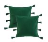 Lot de 2 coussins Tasselina - Vert