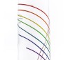 Bouteille 700ml Rainbow CARRY Bottles