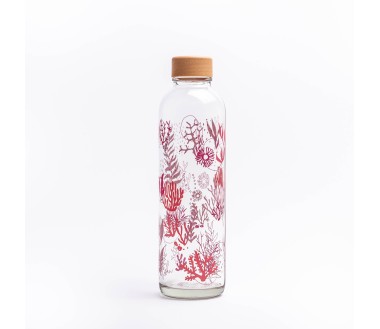 Bouteille 700ml Coral Reef CARRY Bottles
