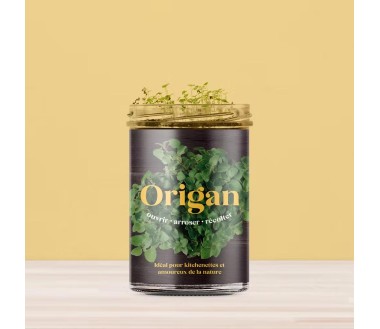 Potager de cuisine Resetea Origan