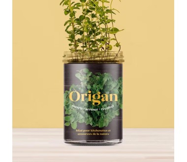 Potager de cuisine Resetea Origan