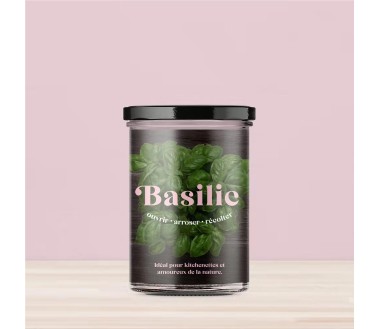 Potager de cuisine Resetea Basilic