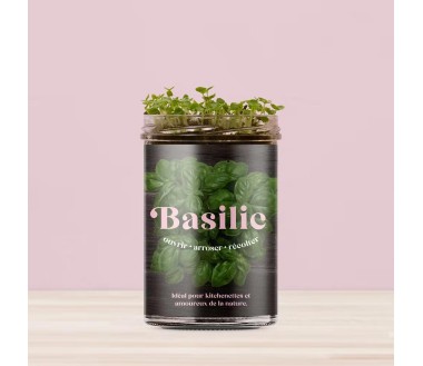 Potager de cuisine Resetea Basilic