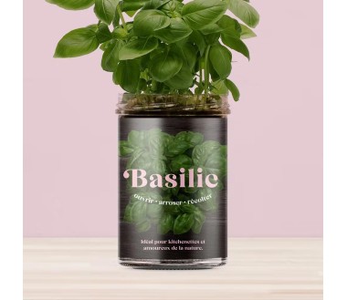 Potager de cuisine Resetea Basilic