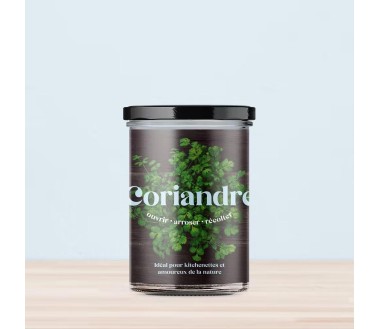 Potager de cuisine Resetea Coriandre