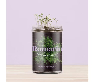 Potager de cuisine Resetea Romarin