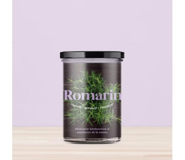 Potager de cuisine Resetea Romarin