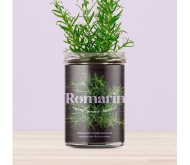 Potager de cuisine Resetea Romarin