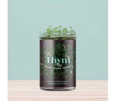 Potager de cuisine Resetea Thym