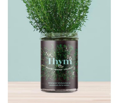 Potager de cuisine Resetea Thym