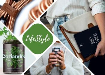 Le choix du web lifestyle shopping